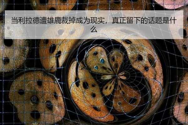dang-li-la-de-zao-xiong-lu-cai-diao-cheng-wei-xian-shi-zhen-zheng-liu-xia-de-hua-ti-shi-shen-me-2-101.jpg